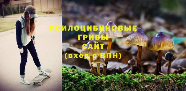 таблы Новодвинск