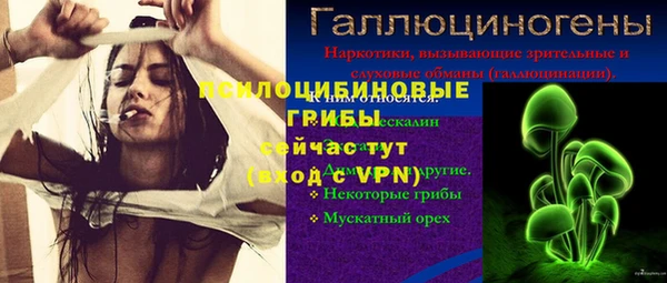 таблы Новодвинск